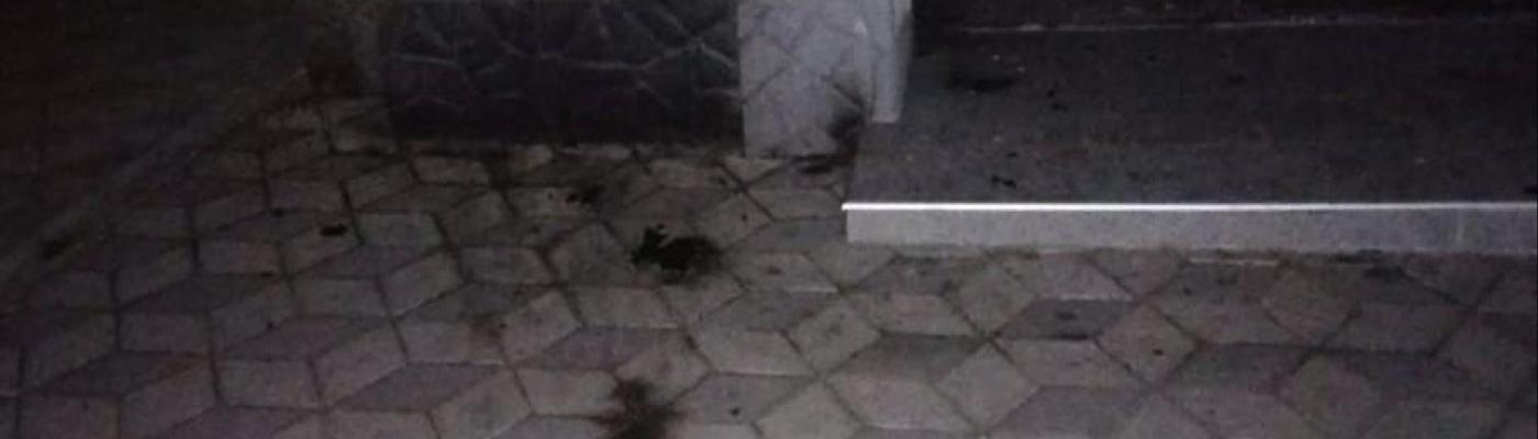 Заява Єврейської конфедерації України з приводу спроби підпалу синагоги у Херсоні